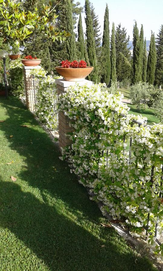 B&B La Piaggia Монтемерано Экстерьер фото